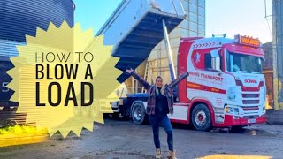 How to Blow a load | feeding the farm animals | first look at using the blower trailer