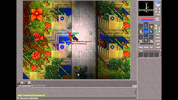 Anti-bot Video (Custom RpG) Tibiaking