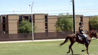 1st Cavalry Division Pass in Review - Horse Detatchment Part
