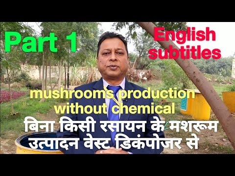 वीडियो: मशरूम के लिए खाद: रचना। अपने हाथों से मशरूम उगाने के लिए खाद कैसे बनाएं? भूसी पर मशरूम ब्लॉक खाद