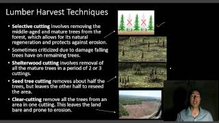 APES Lecture 19 Forestry Basics