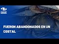 Autoridades de Turbo rescataron 30 cangrejos azules que iban a ser comercializados en Semana Santa