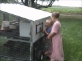 The Egg Cart'n Chicken Tractor The Egg Cart'n Chicken Tractor