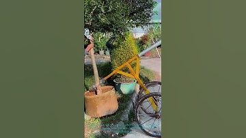 Tree Transplanting: Moving Young Trees with Wheeled Lever