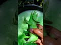 Cleaning Jurassic World Dinosaur 🔥 TRICERATOPS 3 🔥 is this Jurassic World Dominion ❓❓❓  #shorts