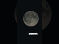 10 мая 2025 г.