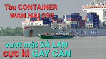 #249 Cận cảnh tàu buôn WAN HAI 290 vượt mặt SÀ LAN phế liệu quá gay cấn/container ship/kiệp family.