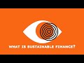 What is sustainable finance what is valuesaligned finance