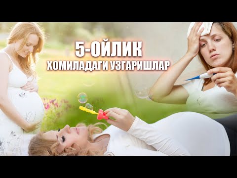 Video: 5 oylik homila nimaga o'xshaydi?