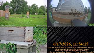 2026/6/17 Back Yard Cam - Weather - Bee Hives - Security Feed - Indianapolis, IN USA