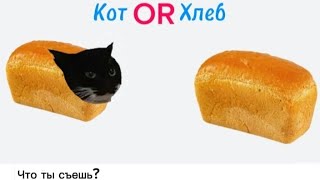 Кот OR Хлеб?  screenshot 2