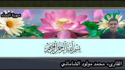 القارىء محمد مولود الشاماني سورة النساء من الآيه ٤١ إلى الآيه ٦٢