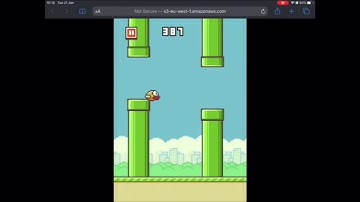 Getting 1000 Score On FLAPPY BIRD Using A HACK!