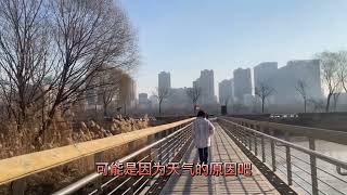带大家看看汾河公园自行车道建设进展，从南内环桥上来不容易 #旅游 #旅行 screenshot 3