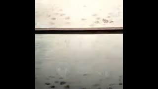 Dangdut gadis atau janda