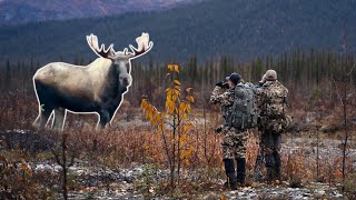 Archery Hunting The Arctic Circle | Alaskan Moose & Caribou (FT S9 Ep4)