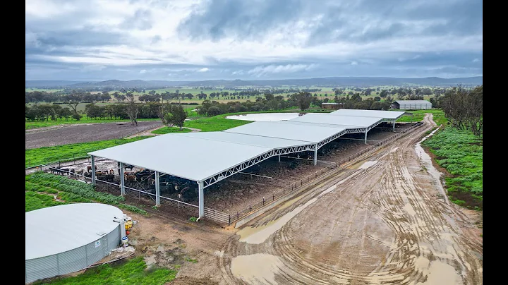 Long Gully Livestock feedlot