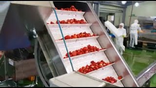 FSCAN-6500DB | Food Inspection System by XAVIS screenshot 5
