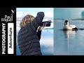 Iceland Photography Tour 2018 | Wildlife & Landscapes