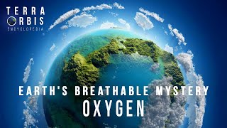 The Origins of the Oxygen We Breathe | Life on Earth Explained