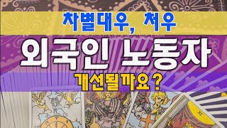 타로🔮외국인 노동자, 차별대우, 처우문제 개선될까요?