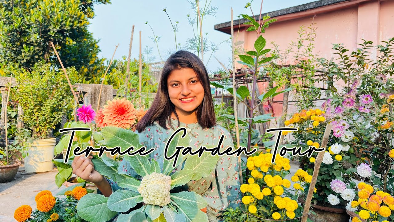 Terrace Garden Tour|Winter Garden ❤️ @Plants Corner by Mona