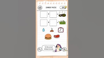 BRAIN TEST 3 LEVEL 64 GUNDOLF PUZZLE