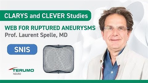 WEB in Ruptured Aneurysms: Early Rebleeding Prevention and CLARYS Trial Outcomes