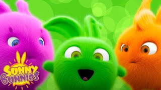 SUNNY BUNNIES FUN WEEKEND | SEASON 3 TOP VIDEOS | Cartoons for Kids