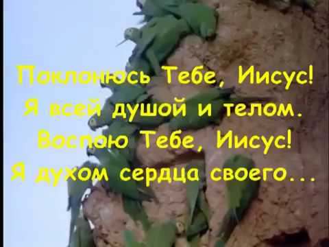 Поклонюсь тебе иисус слова, помирится с овном мужчиной и проктолог женщина москва юзао Поклонюсь тебе иисус слова