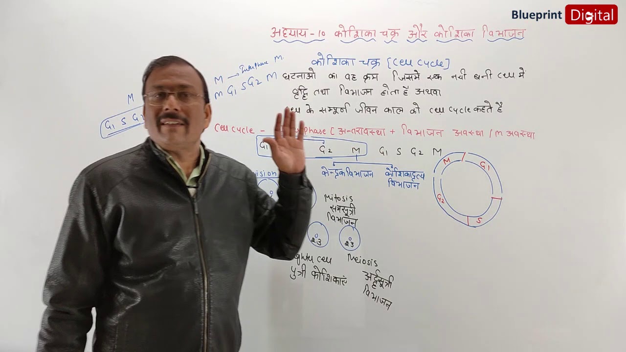 Chapter 10 - Cell Cycle and Cell Division Part 1 -  Cell Cycle | Hindi Medium |  Biology Class 11