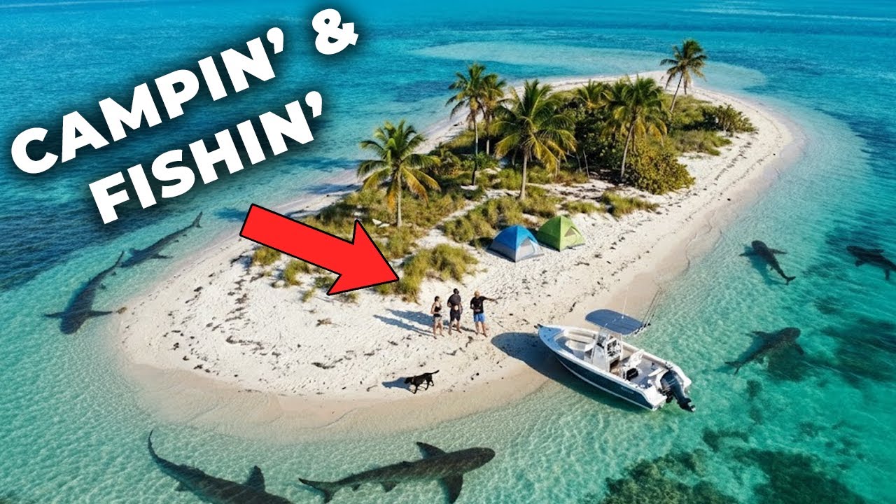 Island Camping and Fishing! *Sharks are NOT HAPPY*
