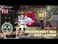 518 light fury with skill build preview  dragon nest sea pvp ladder requested