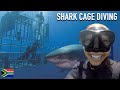 AMERICAN IN SOUTH AFRICA: SHARK CAGE DIVING!