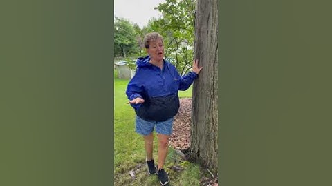 Erie Insurance - Understanding Service Line Coverage  #erieinsurance #underground #servicelines