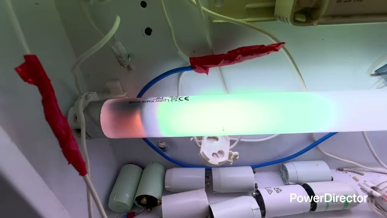 Ecco un evolution in più belli che abbiamo visto che bruciando il tubo si faranno tante evolution