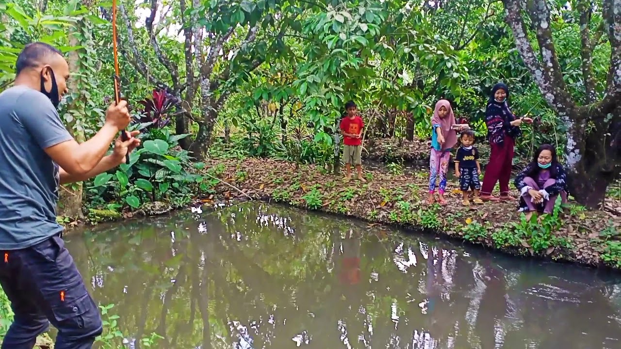 MANCING DI KOLOM IKANNYA BESAR - BESAR...