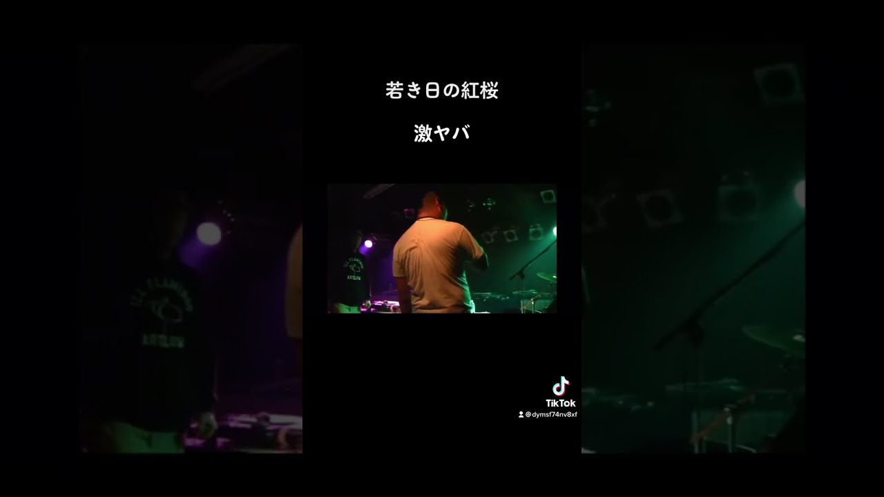 ZERO DEFECT EP / THE BULL'S / PGP 津山 ZERO DEFECT EP / THE BULL'S / PGP 津山