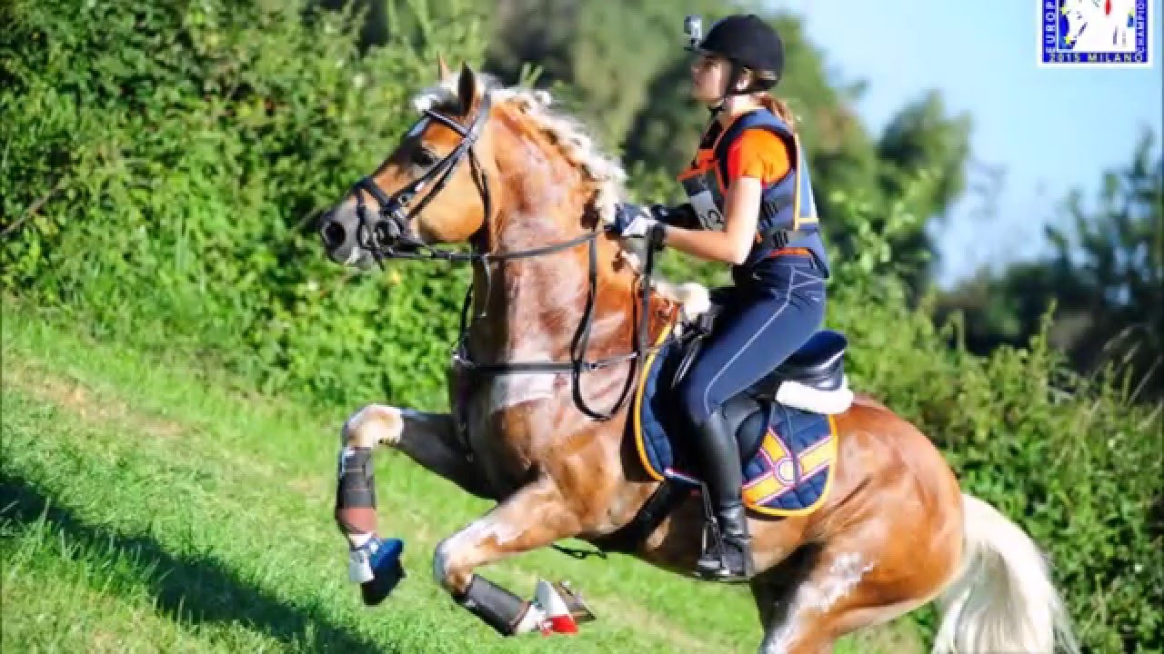 European championships Vermezzo