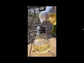 Survival Skills: Make DIY Amazing Oil Candle from Light Bulb #survival #camping #lifehack #bushcraft