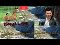 شاهد الفنان الكبير الحسين امراكشي اغنية جميلة جدا  