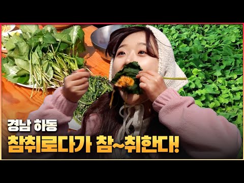 참취 -경남 <strong>하동</strong>- (KBS 2025.04.23. 수요일)