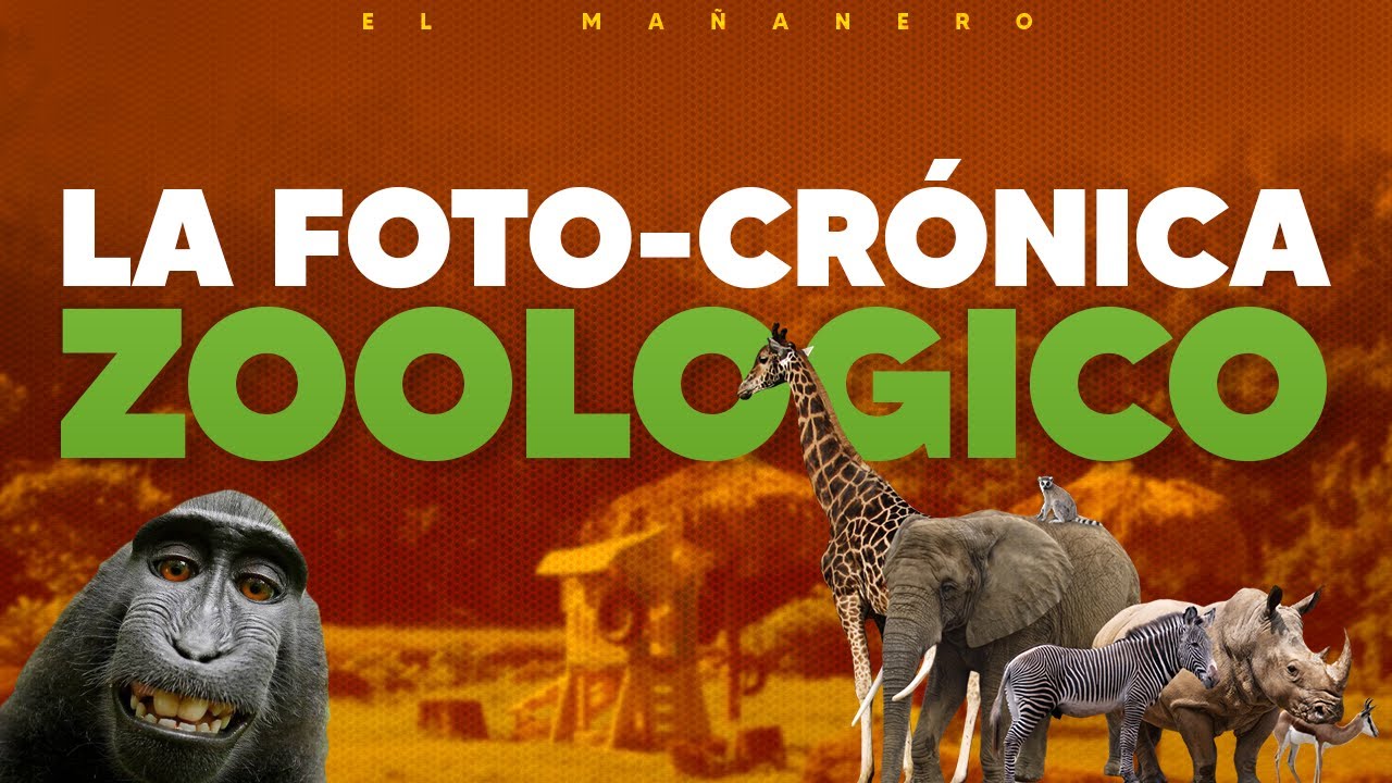 La Fotocrónica del ZOOLOGICO Mañanero - EL NAGUERO