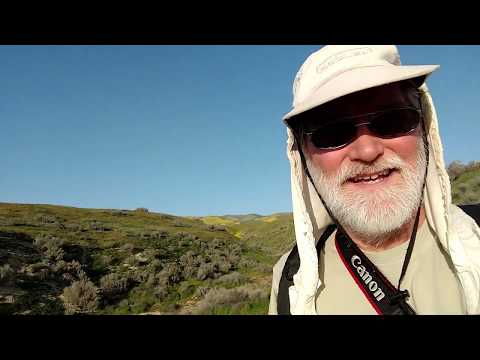 Video: Attēls Ir Tūkstoš Datu Punktu Vērts: Pāra Atvērušos Krūmu Mikrosītu Attēlu Datu Kopa Carrizo Plain National Monument