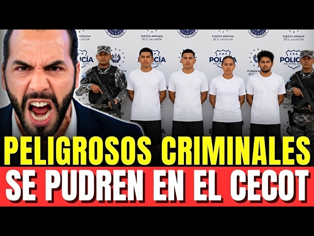 A YouTube thumbnail with standard quality