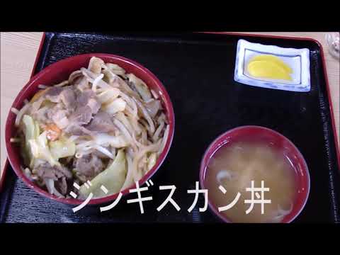 フレンドリーベア