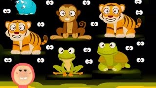 Kids Learn Animals Names - Peekaboo Animals Fun Learning Games For Kids & Babies ► Tikifun