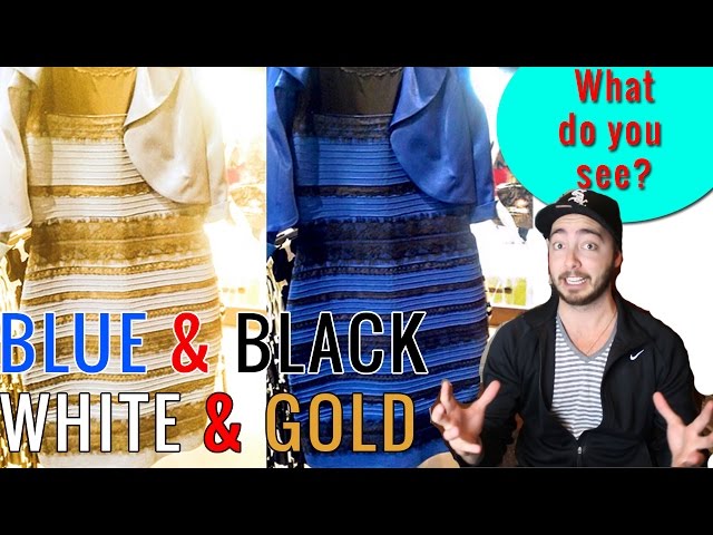the blue and black dress
