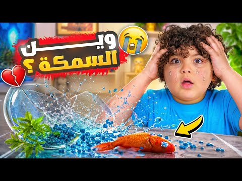 😱 We found out too late… The fish died! Ali’s breakdown moment 💔