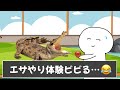 動物園でありがちなことが衝撃的すぎるんですがｗｗｗ【ツッコミ】【あるある】